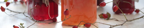 Kombucha Tea Kombucha Tea