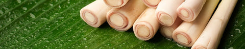 Lemongrass Lemongrass