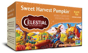 Sweet Harvest Pumpkin
