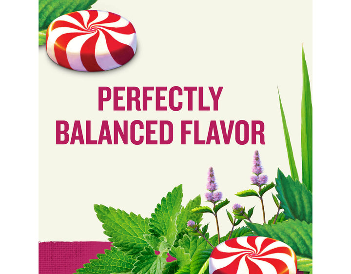 Peppermint Herbal Tea, 20 ct; 
PERFECTLY
BALANCED FLAVOR
