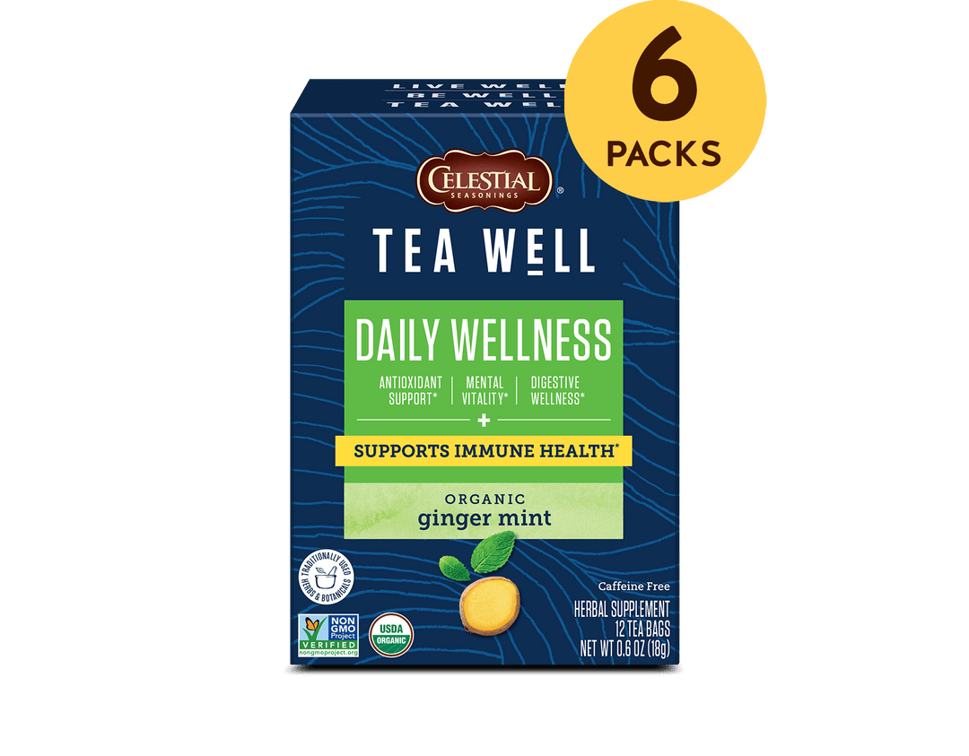 TeaWell Organic Ginger Mint Wellness Tea