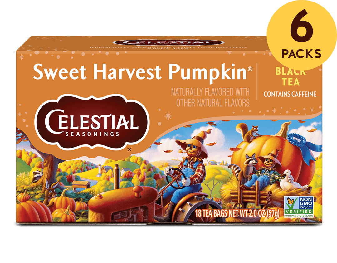 Sweet Harvest Pumpkin Black Tea