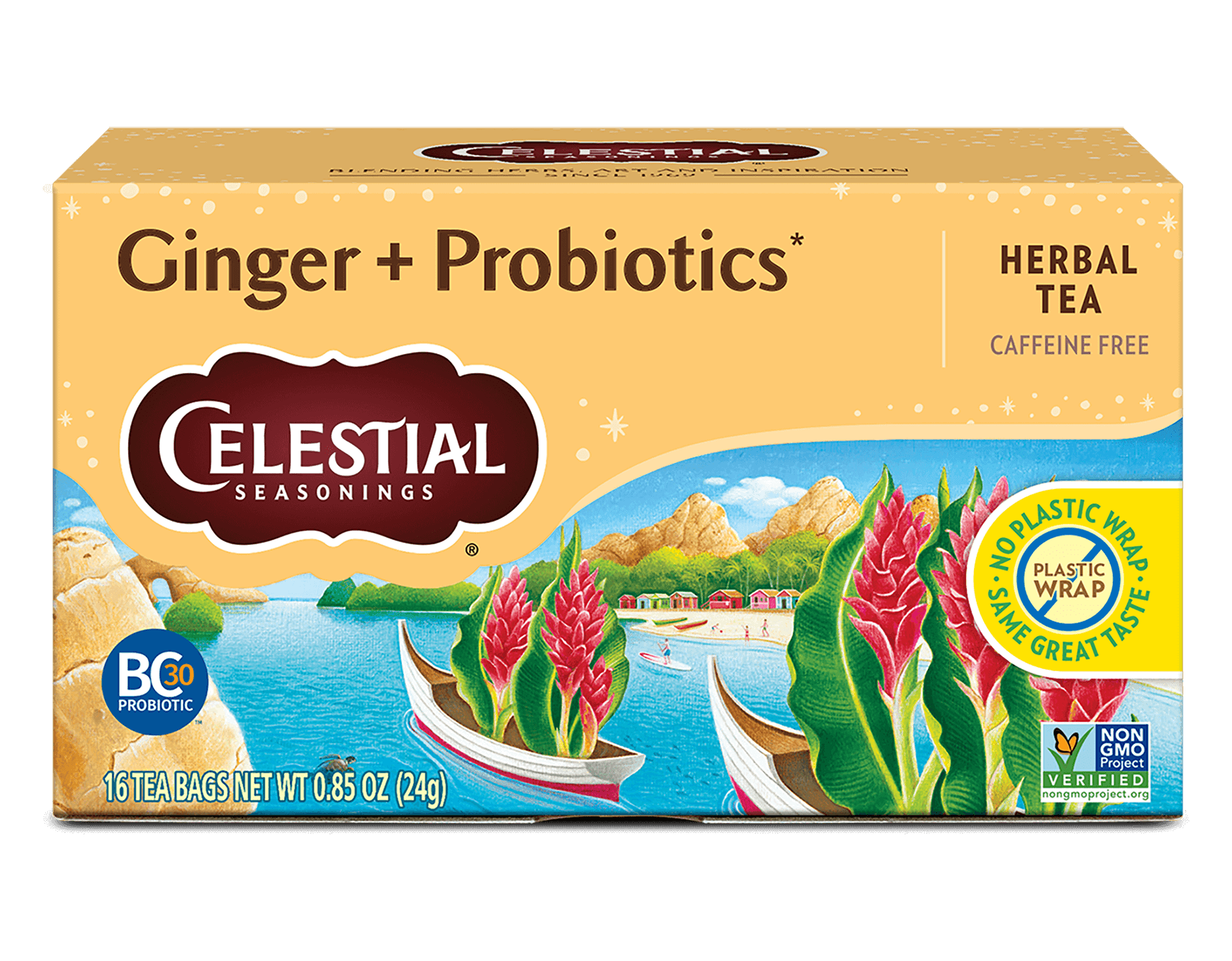 Ginger & Probiotic 1 box (16 tea bags)