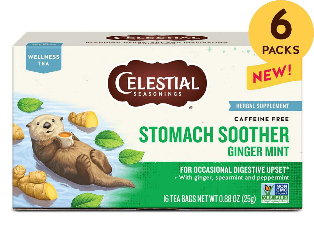 6 packs texts on the top right. Packaging for Celestial Seasonings' "Stomach Soother" tea features a relaxed otter holding a cup, surrounded by ginger and mint leaves. It is labeled caffeine-free and promotes digestion. 