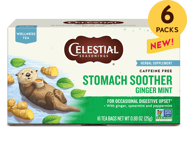 6 packs texts on the top right. Packaging for Celestial Seasonings' "Stomach Soother" tea features a relaxed otter holding a cup, surrounded by ginger and mint leaves. It is labeled caffeine-free and promotes digestion. 